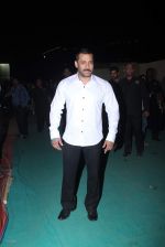 Salman Khan at Big Star Awards in Mumbai on 13th Dec 2015
